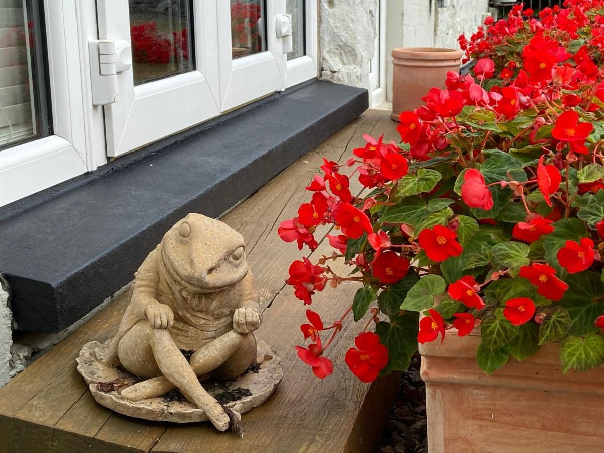 Toadhall Rooms Muchalls Buitenkant foto